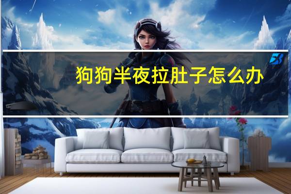 狗狗半夜拉肚子怎么办