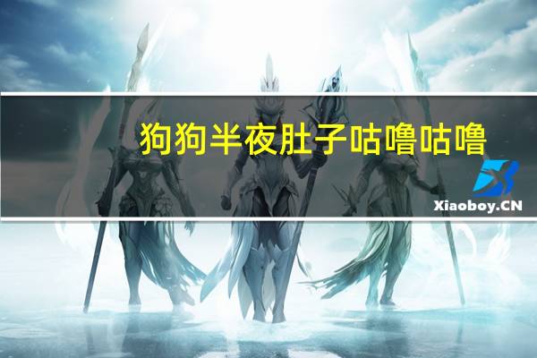 狗狗半夜肚子咕噜咕噜