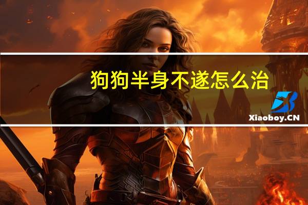 狗狗半身不遂怎么治