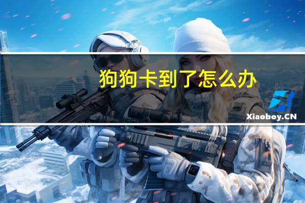 狗狗卡到了怎么办