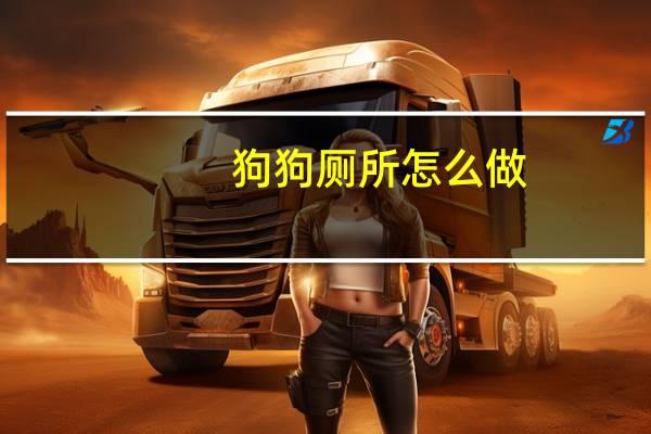 狗狗厕所怎么做