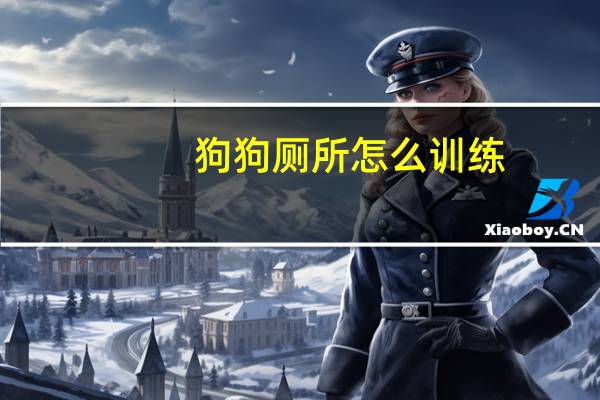 狗狗厕所怎么训练