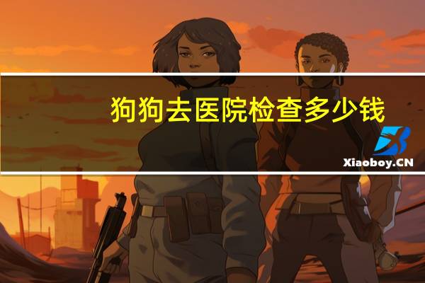 狗狗去医院检查多少钱