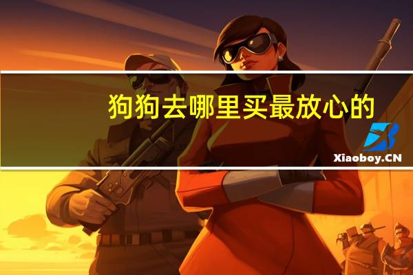 狗狗去哪里买最放心的