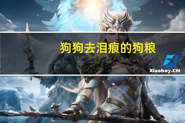 狗狗去泪痕的狗粮