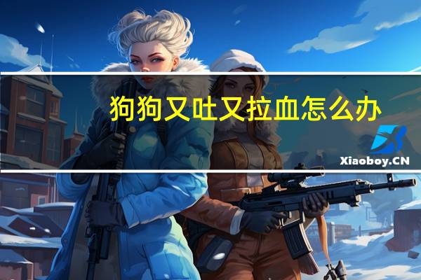 狗狗又吐又拉血怎么办