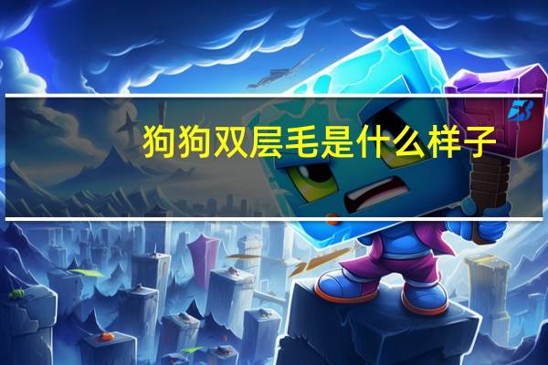 狗狗双层毛是什么样子
