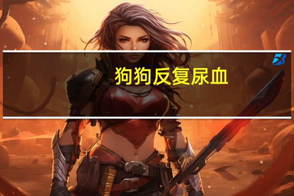 狗狗反复尿血