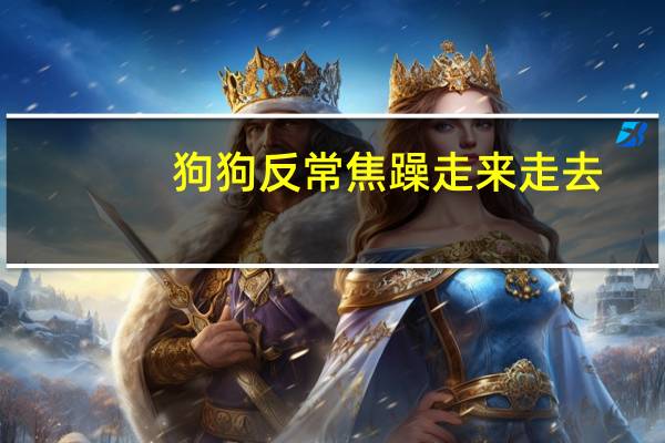 狗狗反常焦躁走来走去