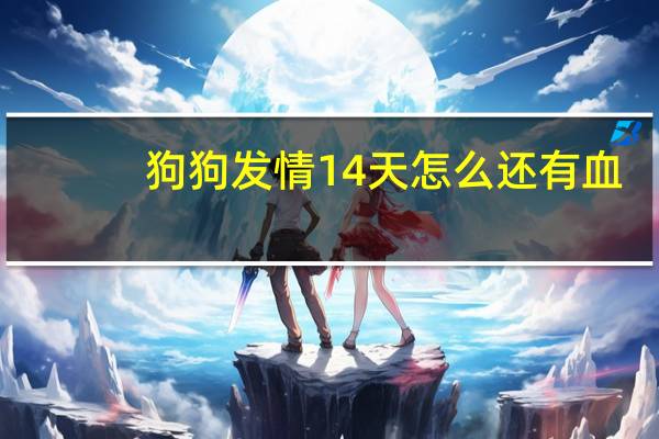 狗狗发情14天怎么还有血