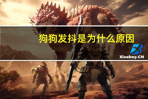 狗狗发抖是为什么原因