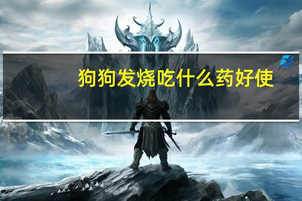 狗狗发烧吃什么药好使