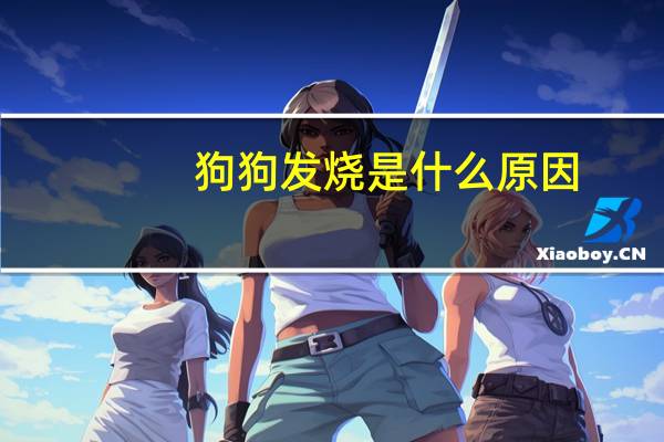 狗狗发烧是什么原因
