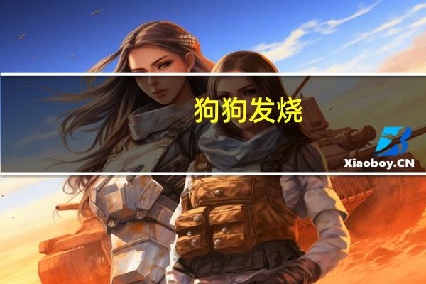 狗狗发烧