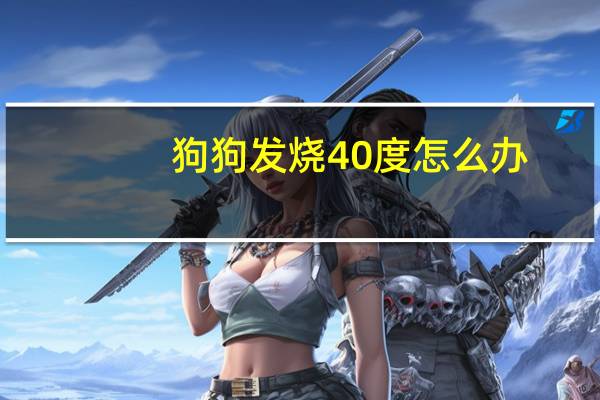 狗狗发烧40度怎么办