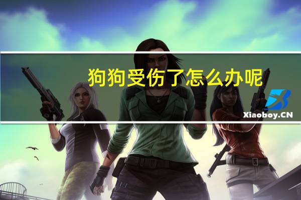 狗狗受伤了怎么办呢