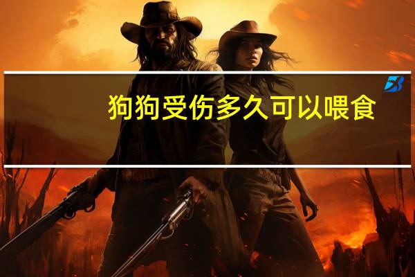 狗狗受伤多久可以喂食