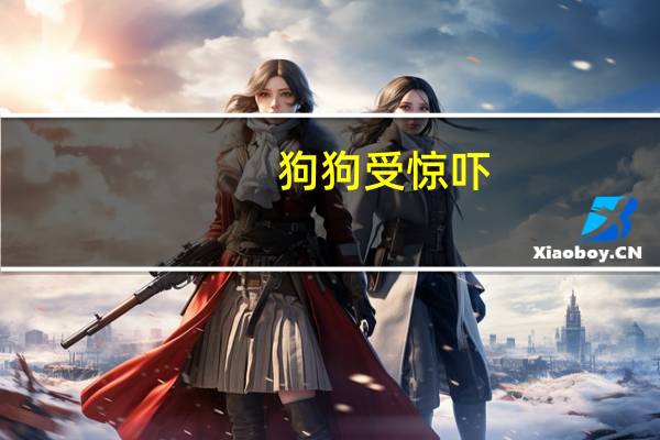 狗狗受惊吓