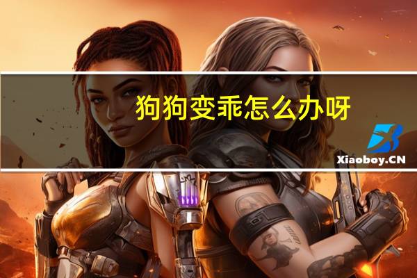 狗狗变乖怎么办呀