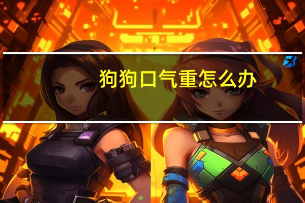狗狗口气重怎么办
