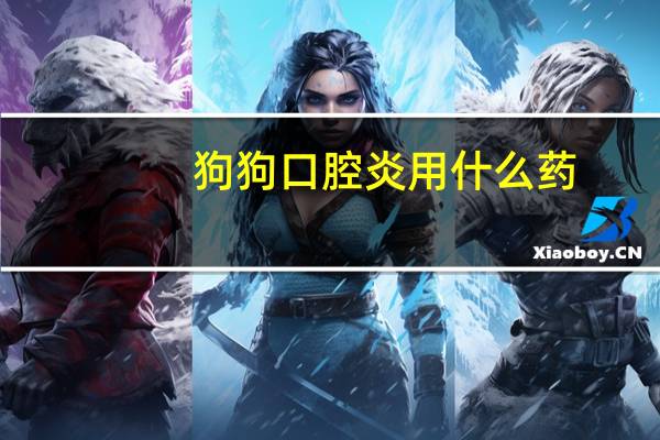狗狗口腔炎用什么药