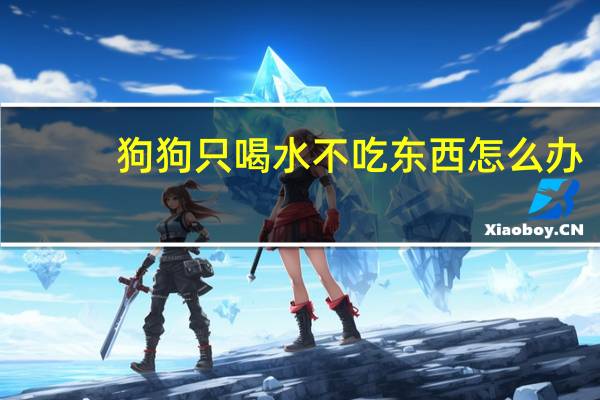 狗狗只喝水不吃东西怎么办