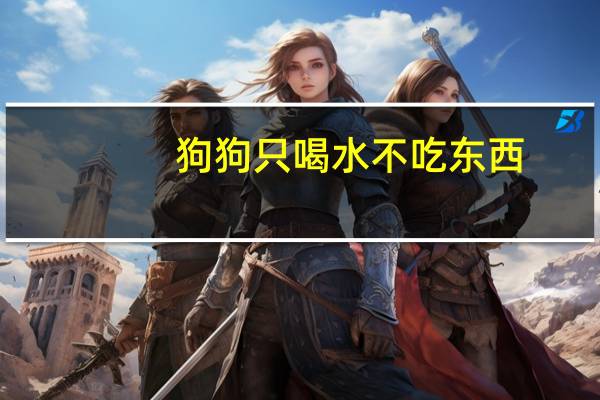 狗狗只喝水不吃东西