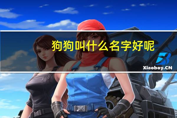 狗狗叫什么名字好呢