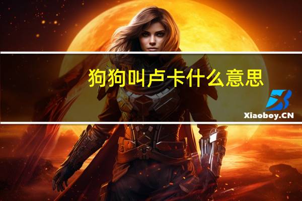 狗狗叫卢卡什么意思