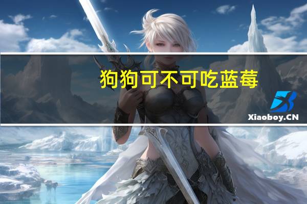 狗狗可不可吃蓝莓