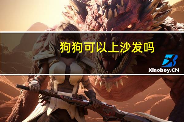 狗狗可以上沙发吗