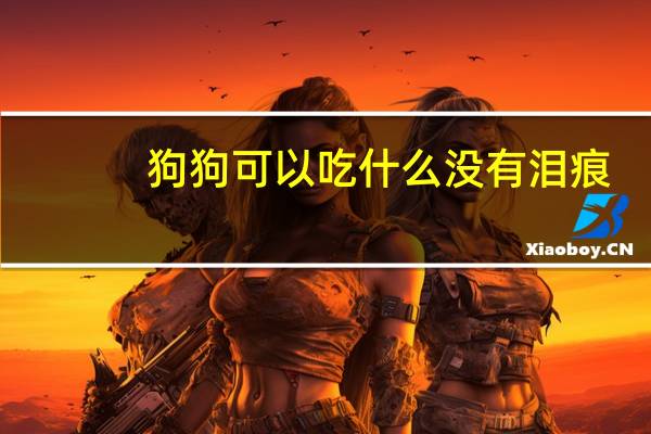 狗狗可以吃什么没有泪痕