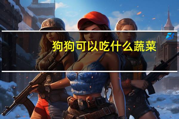 狗狗可以吃什么蔬菜