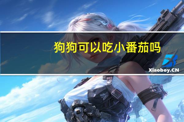 狗狗可以吃小番茄吗