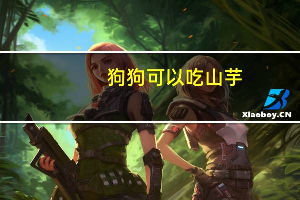 狗狗可以吃山芋