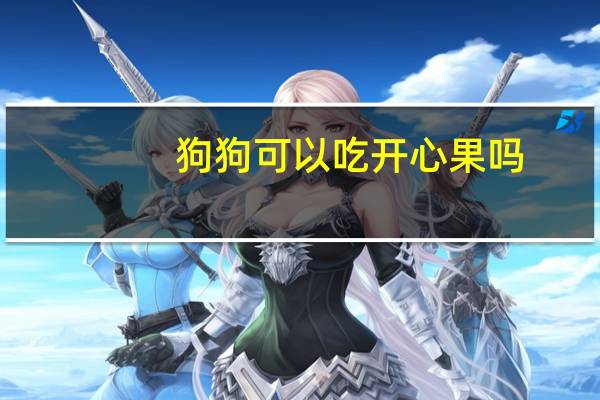狗狗可以吃开心果吗