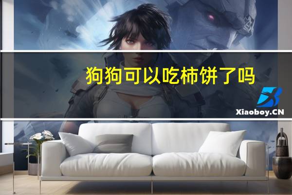 狗狗可以吃柿餅了嗎