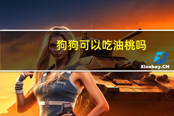 狗狗可以吃油桃吗