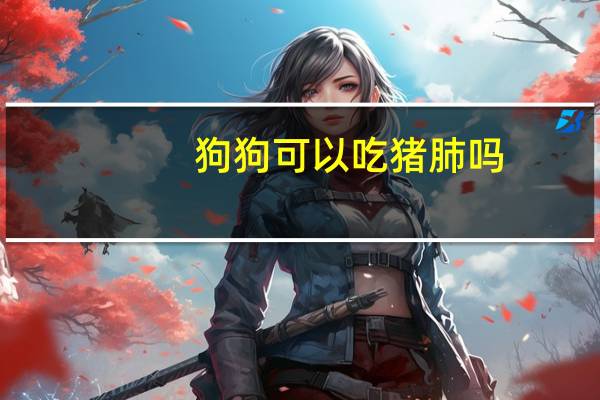 狗狗可以吃猪肺吗