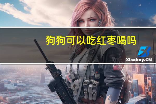 狗狗可以吃红枣喝吗