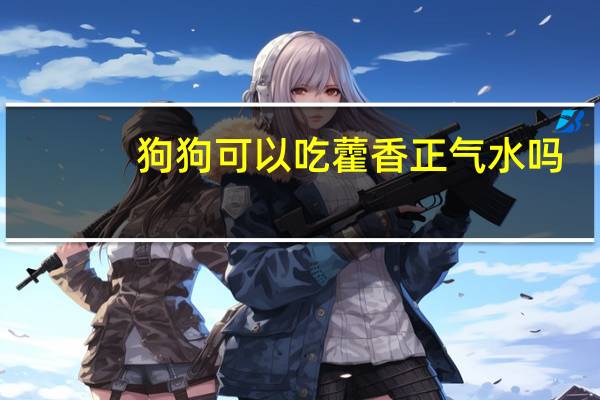 狗狗可以吃藿香正气水吗