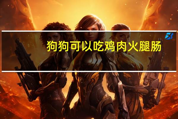 狗狗可以吃鸡肉火腿肠