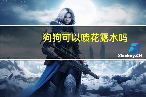 狗狗可以喷花露水吗