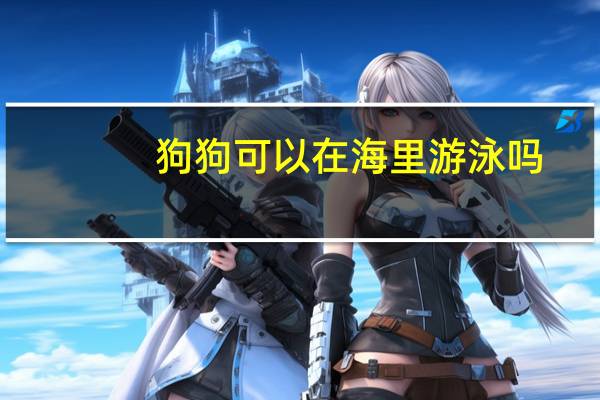 狗狗可以在海里游泳吗