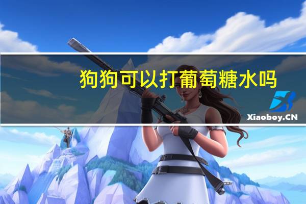 狗狗可以打葡萄糖水吗