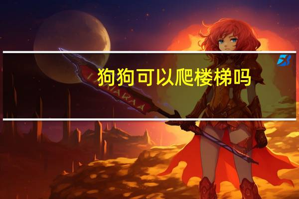 狗狗可以爬楼梯吗