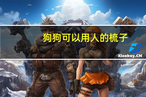 狗狗可以用人的梳子