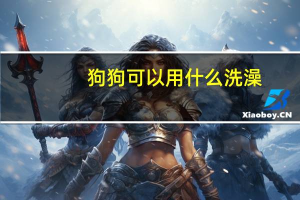 狗狗可以用什么洗澡