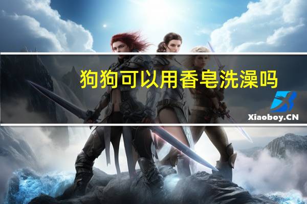 狗狗可以用香皂洗澡吗