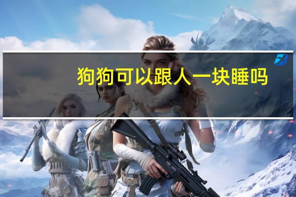 狗狗可以跟人一块睡吗